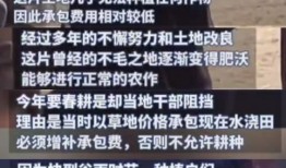 诈骗爆料新闻视频完整版,诈骗爆料新闻视频完整版深度解析